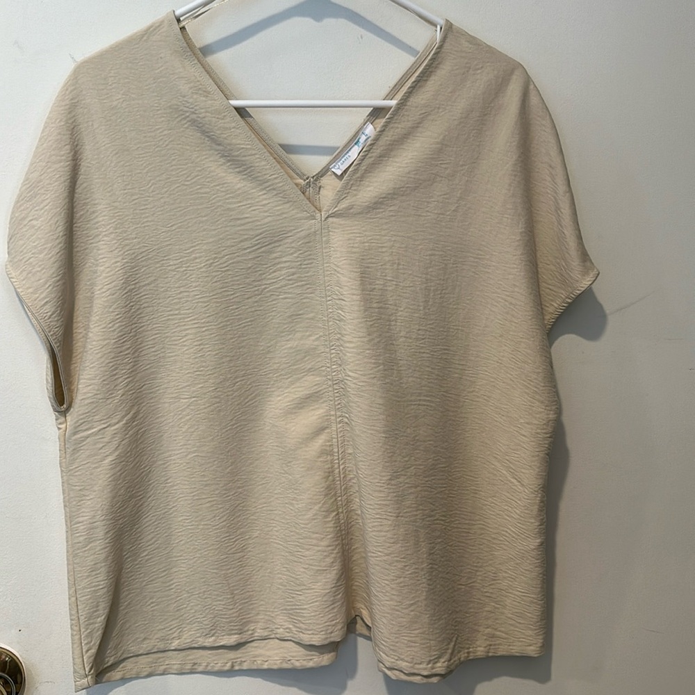 Light tan shirt sleeve top/blouse size 4
